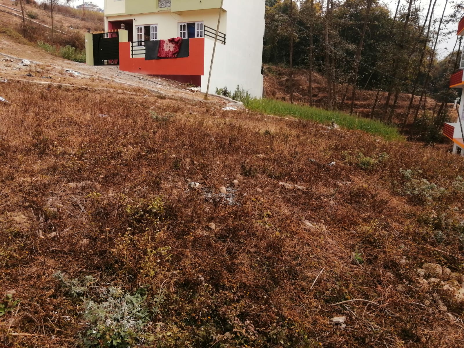 Picture of Mahalaxmi Municipality, Bagmati